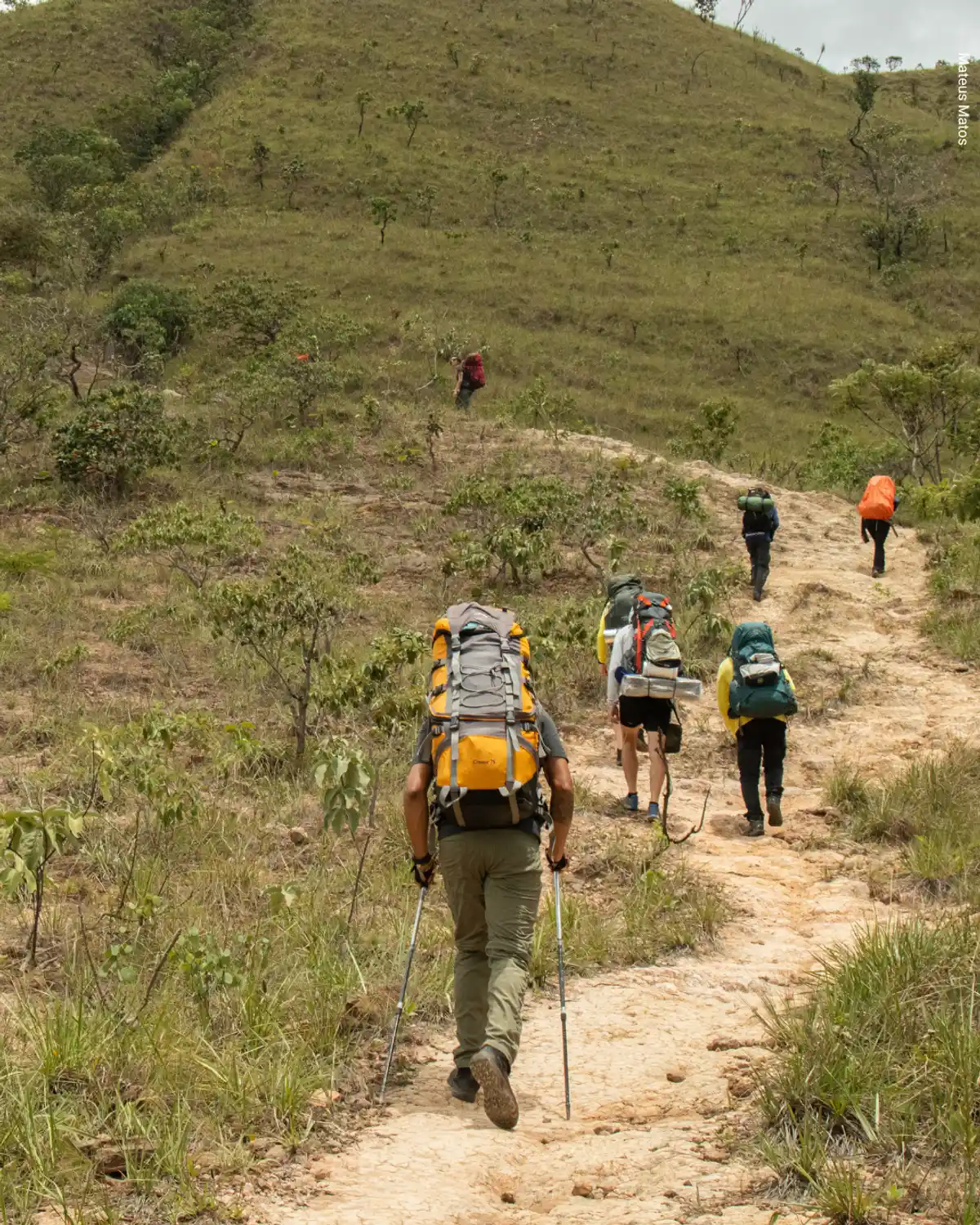 Caminho dos Veadeiros