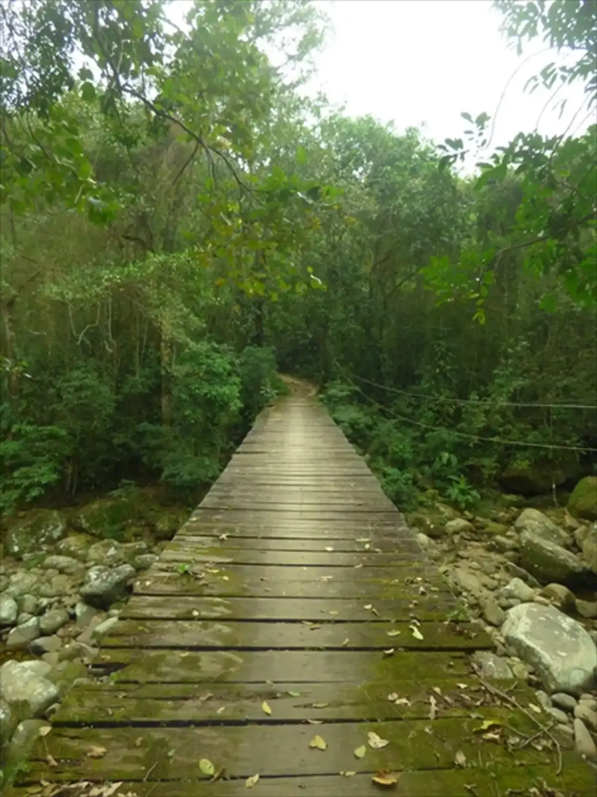 Trilha Cachoeira Grande de Suruí Véu da Noiva