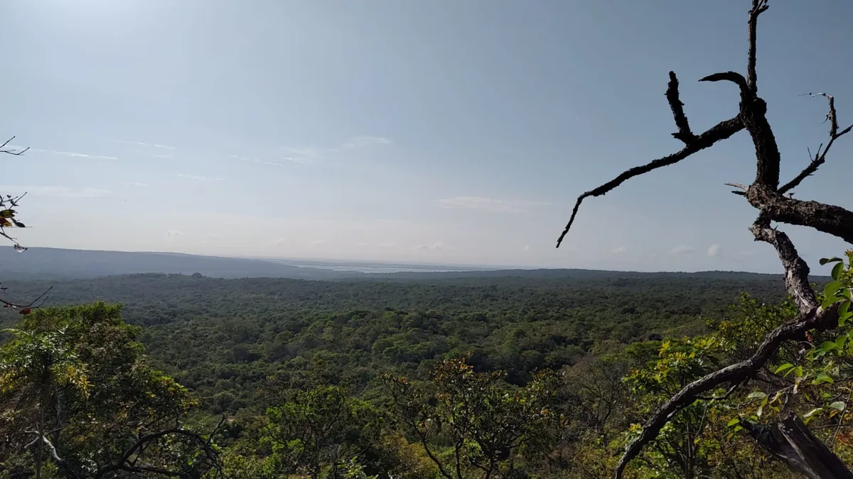 Trilha do Ererê