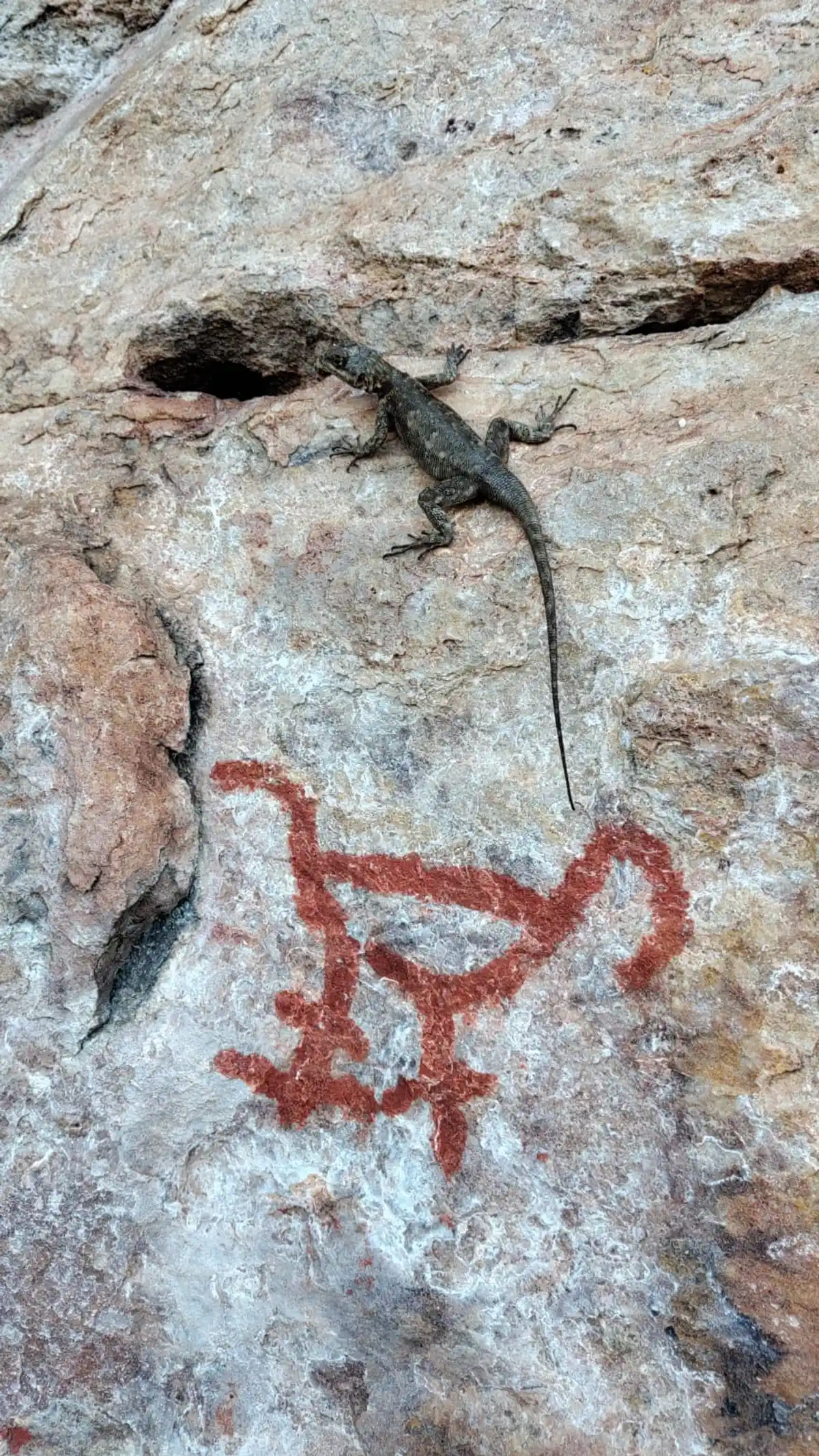 Trilha do Ererê