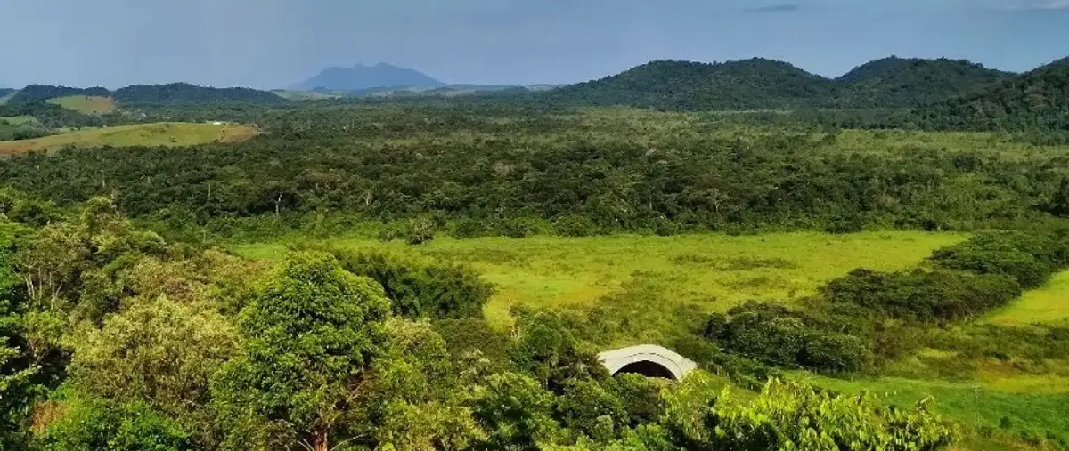 Trilha do Mirante do Viaduto Vegetado