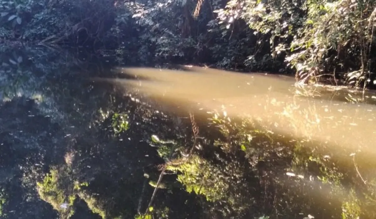 Trilha da Represa das Lontras