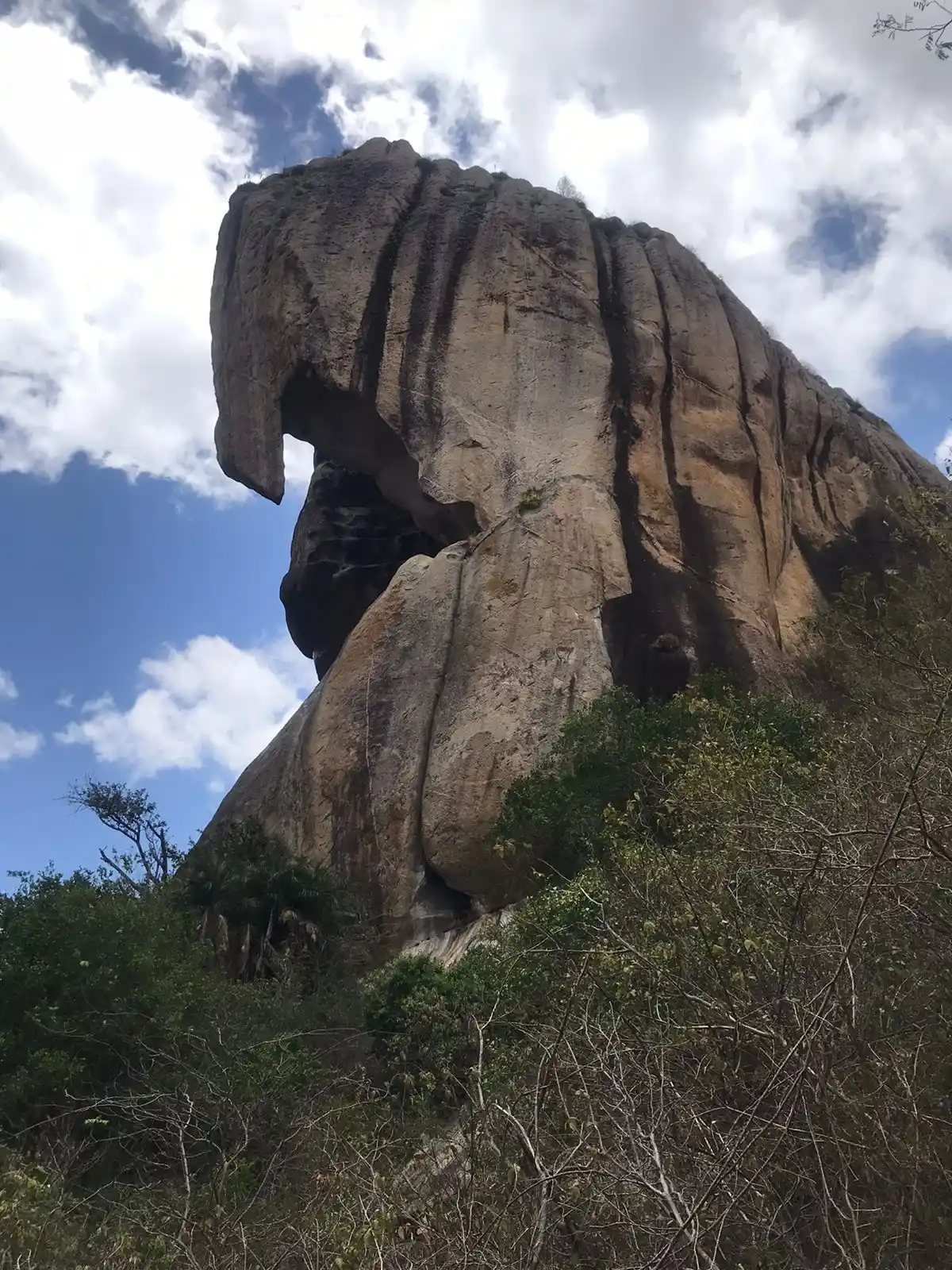 Trilha da Mata do Gemedouro