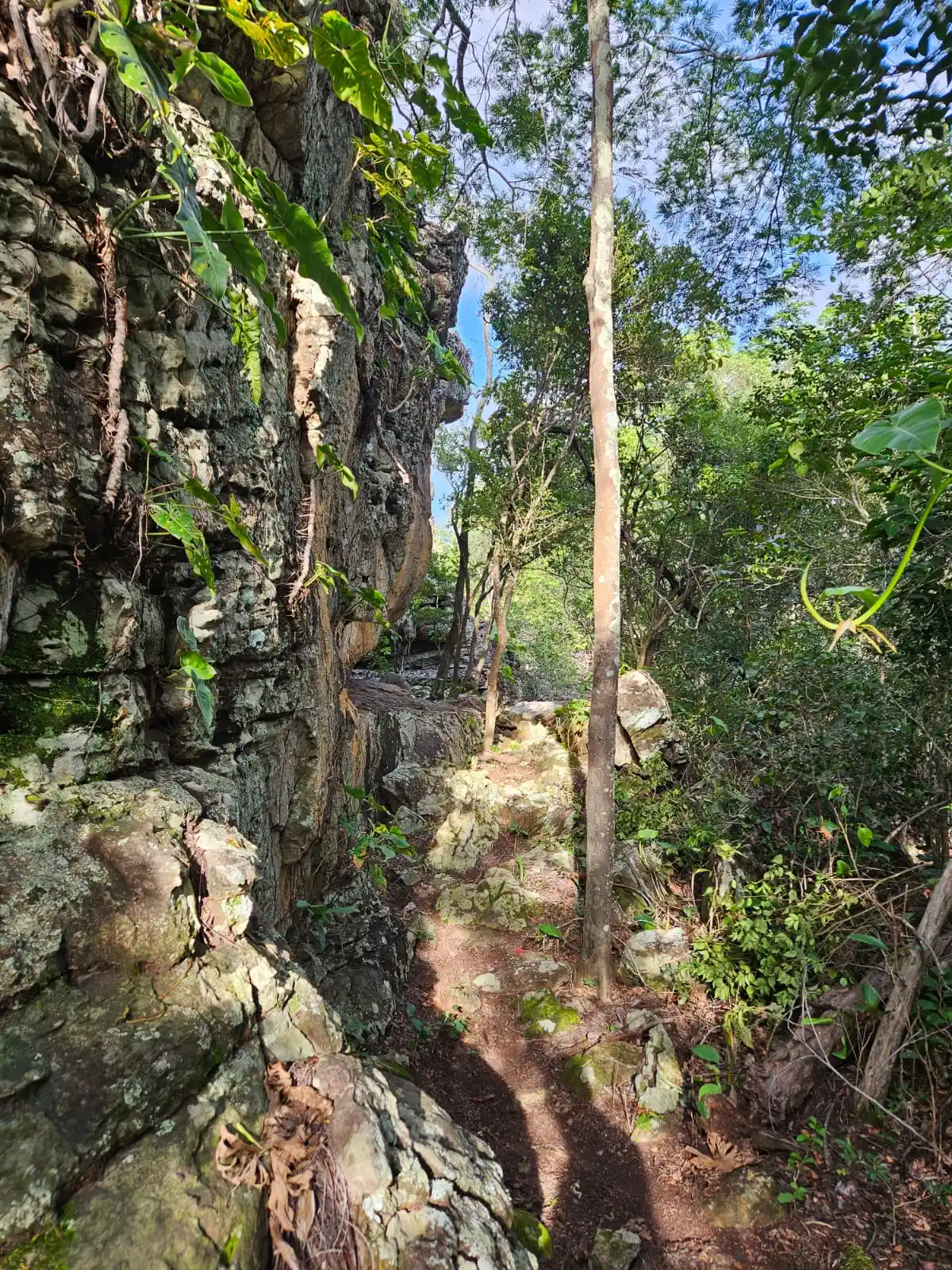 Caminhos de são Francisco