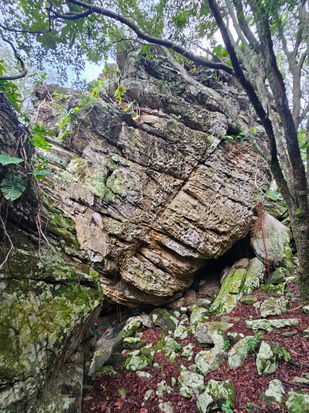 Caminhos de são Francisco