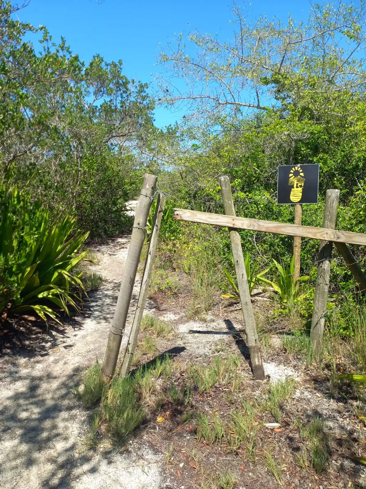 Trilha Translagunar | São Pedro da Aldeia - Praia das Pedras de Sapiatiba