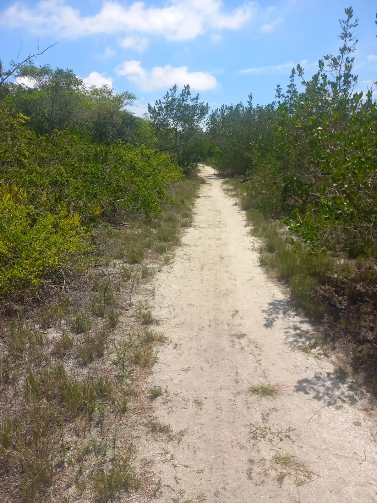 Trilha Translagunar | São Pedro da Aldeia - Praia das Pedras de Sapiatiba
