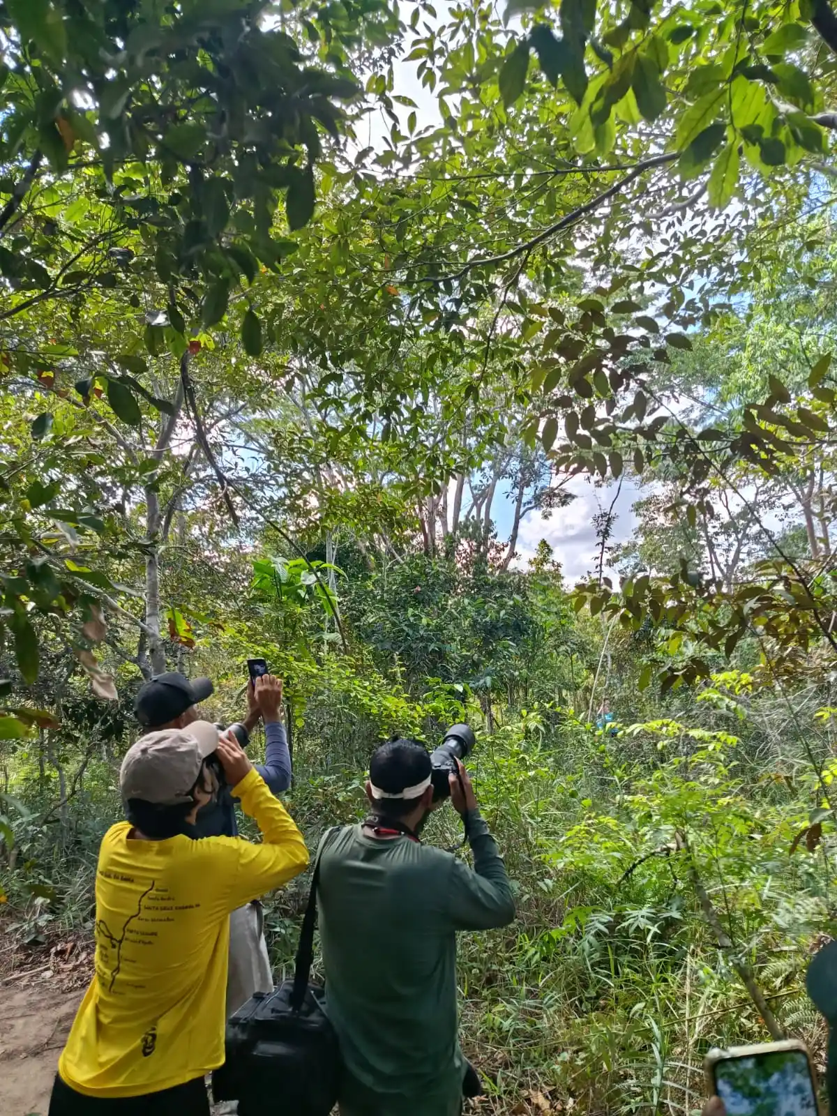 Circuito das Aves