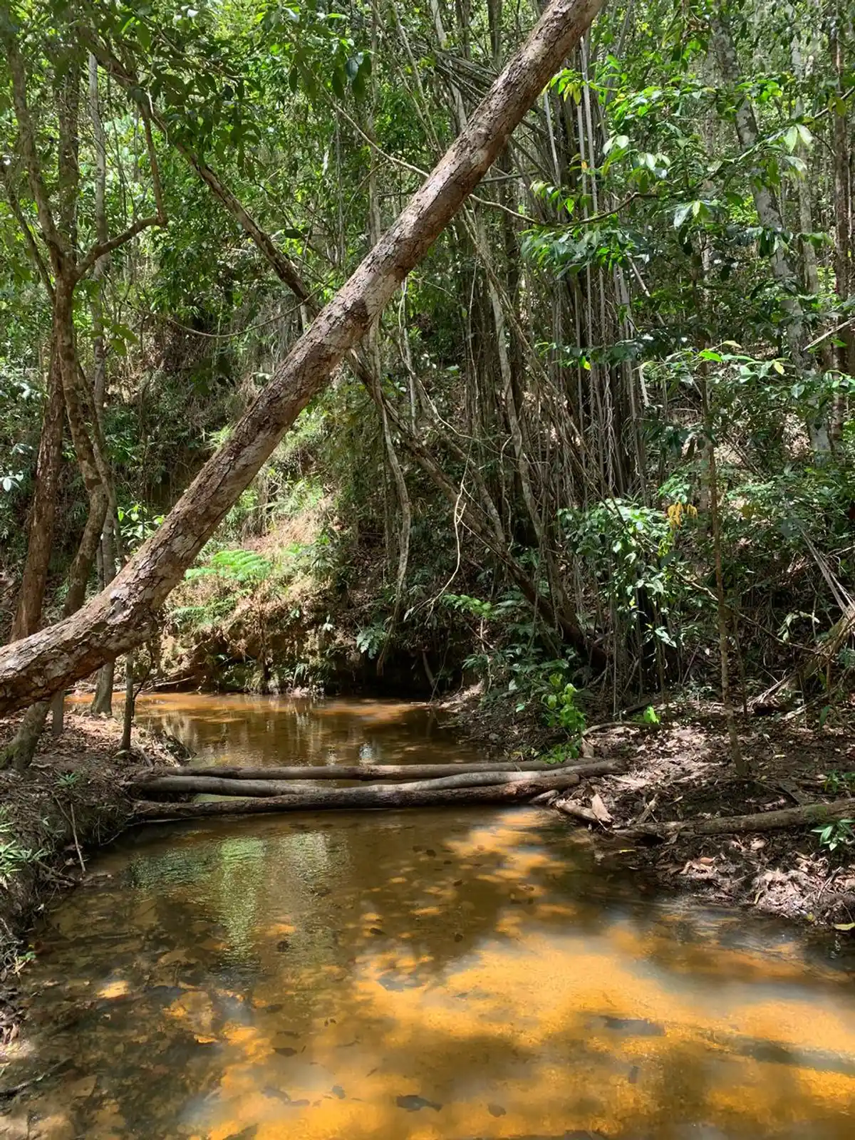 Trilha Vera Cruz