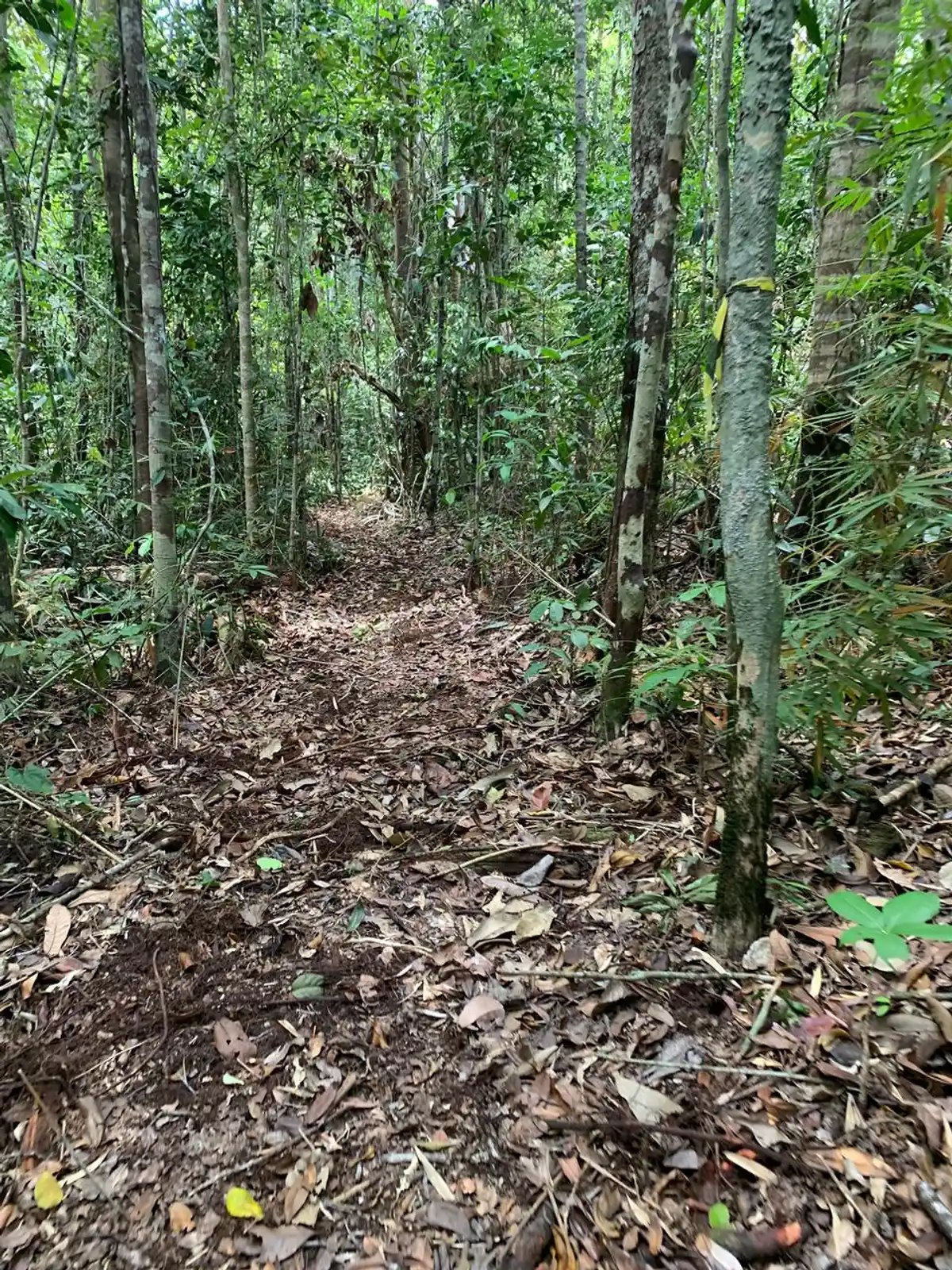 Trilha Vera Cruz