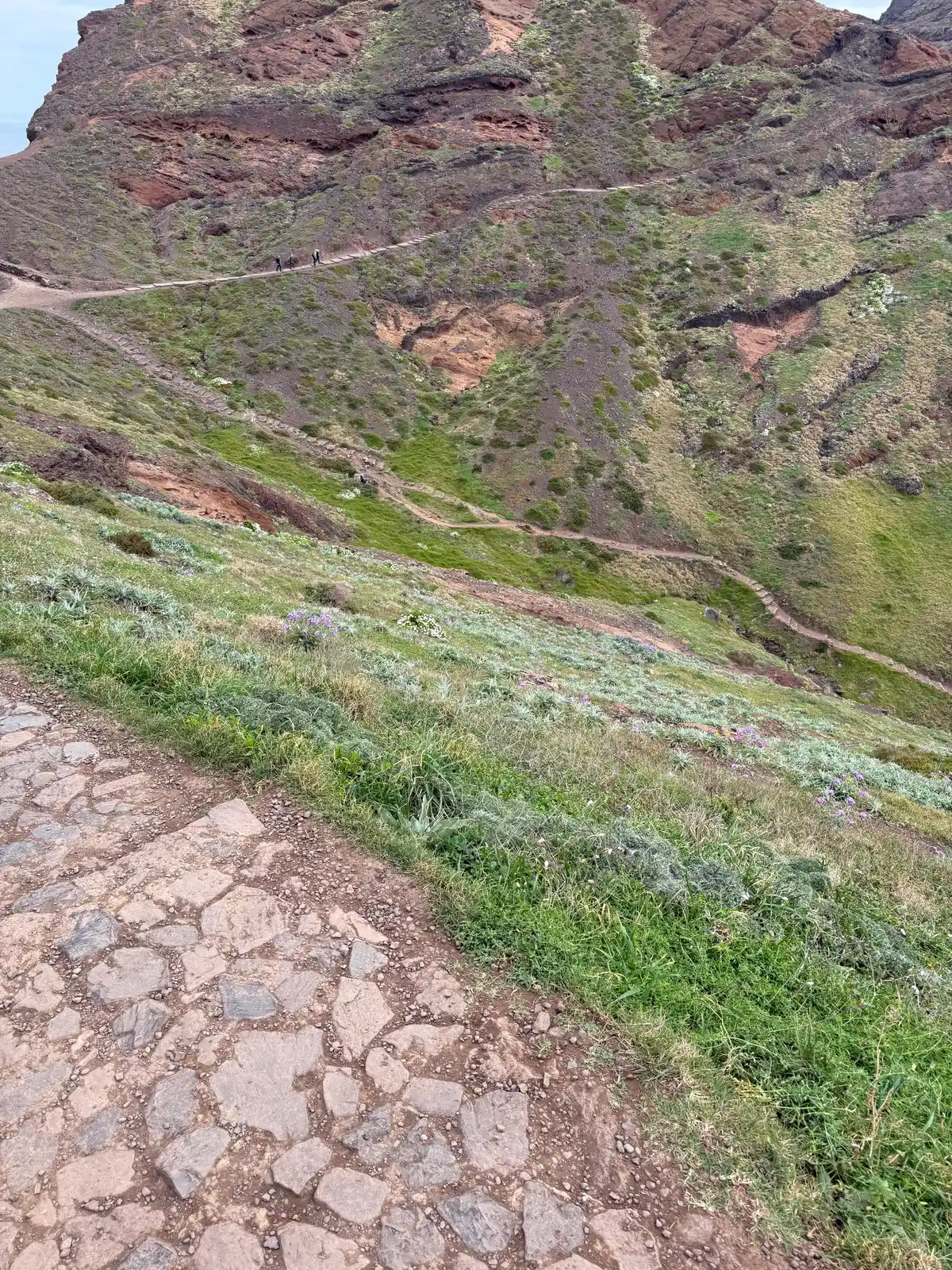 PR 8 - Vereda da Ponta de São Lourenço