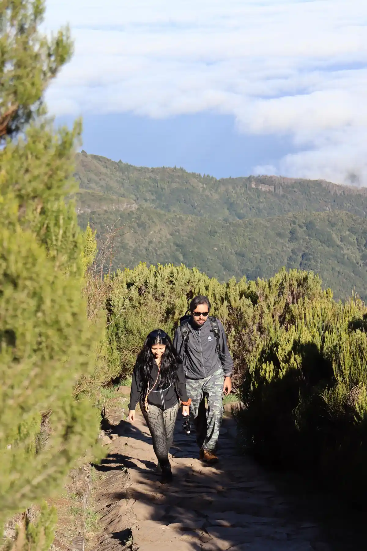 PR 1.2 - Vereda do Pico Ruivo