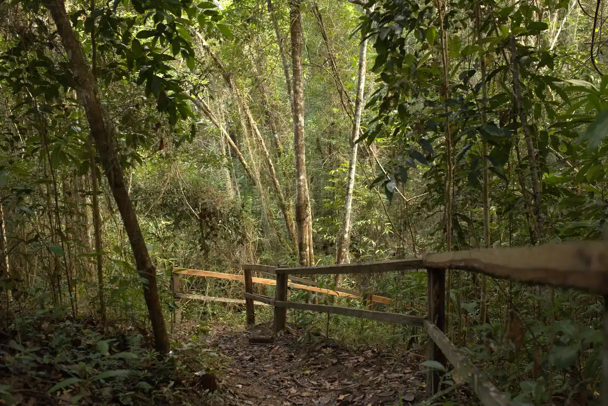 Trilha Vera Cruz
