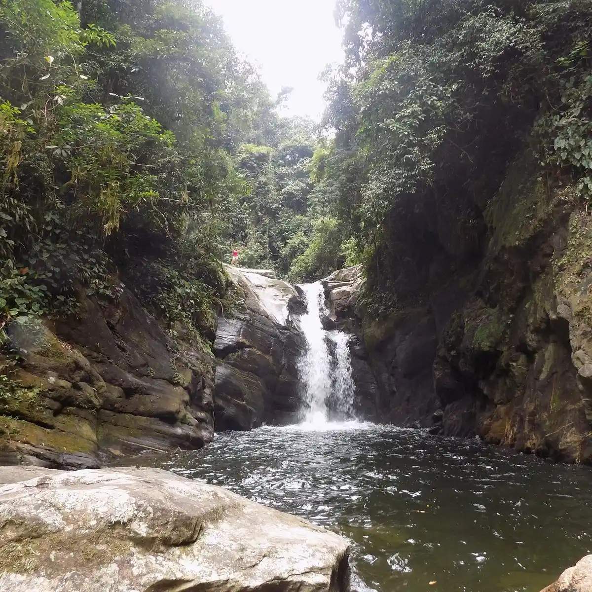 Trilha da Cachoeira do Tenebroso