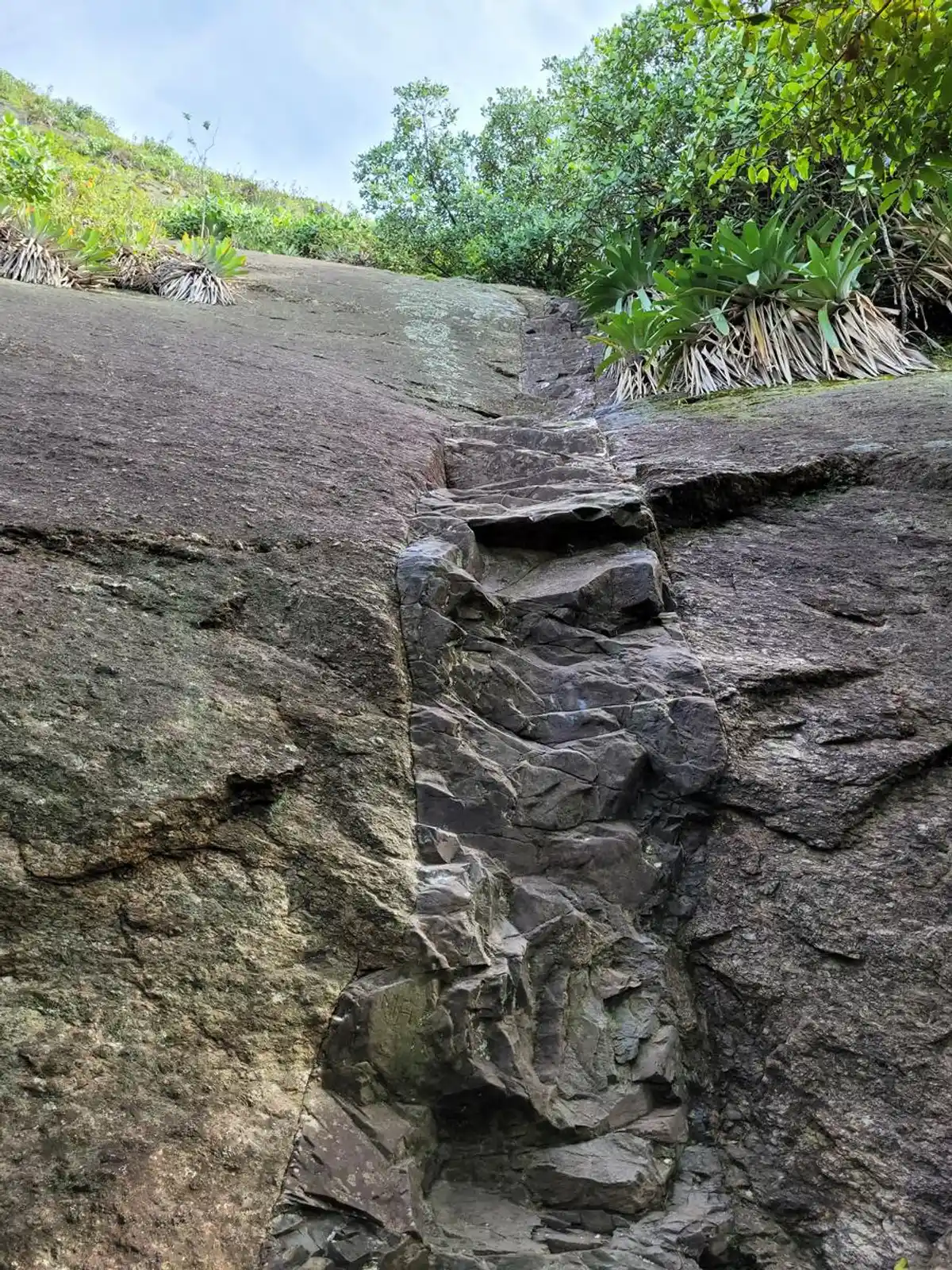 Costão do Pão de Açúcar