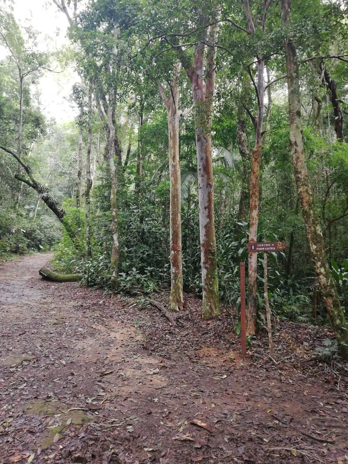 Trilha Cachoeira das Almas