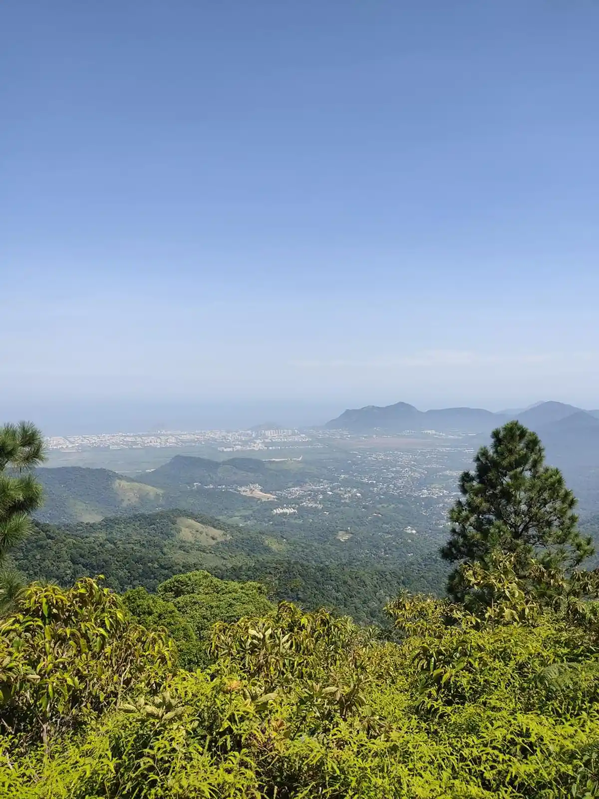 Alto do Mangalarga