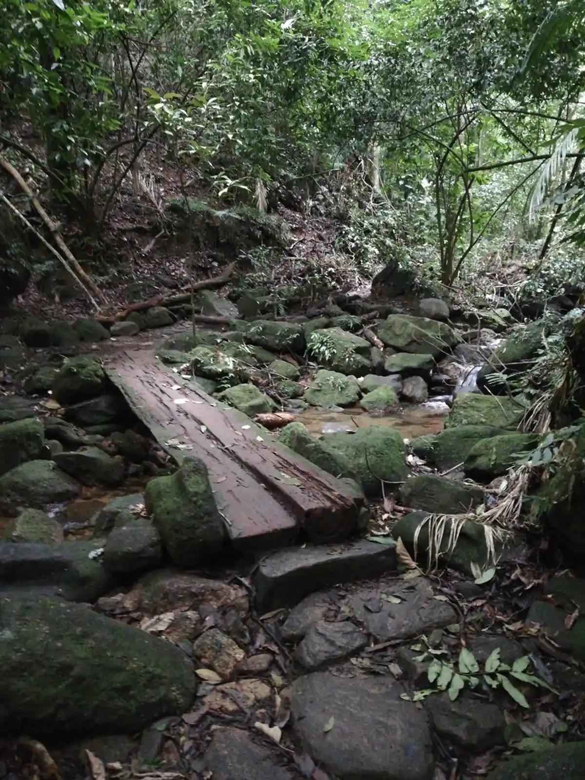 Trilha Cachoeira das Almas