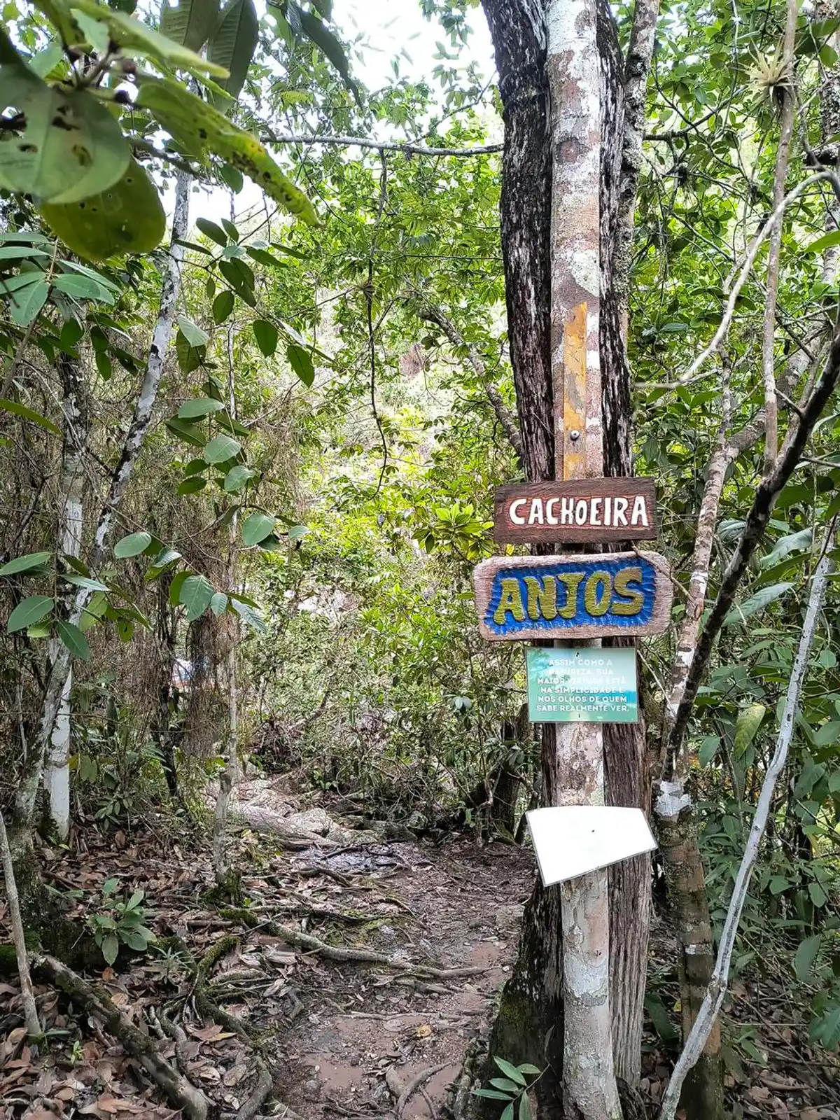 Cachoeiras dos Anjos e Arcanjos