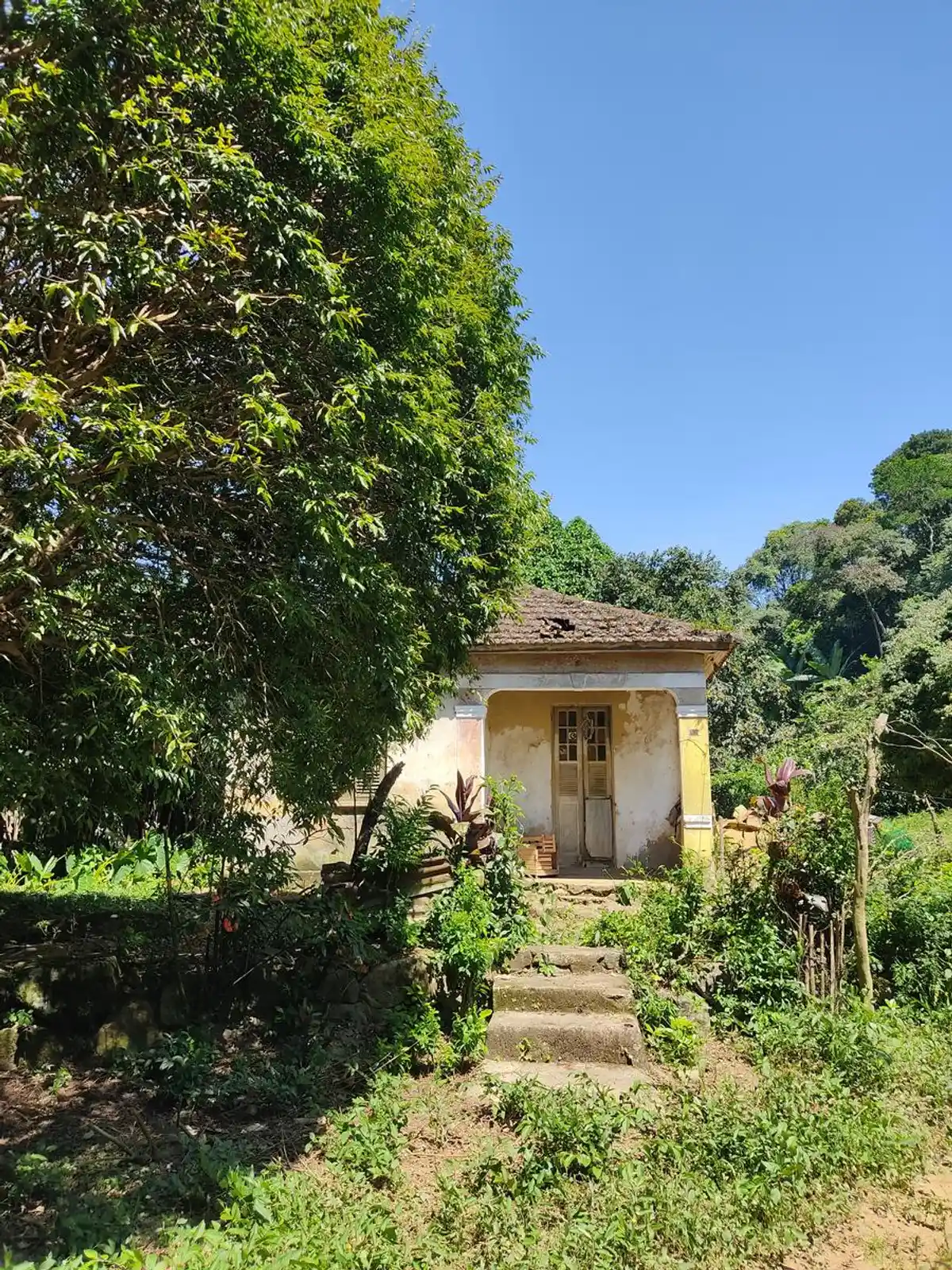 Alto do Mangalarga
