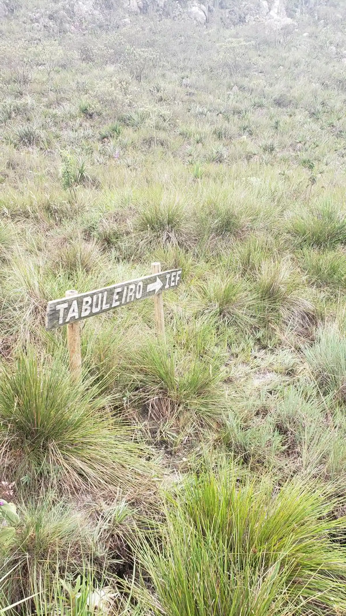 Travessia Lapinha x Tabuleiro