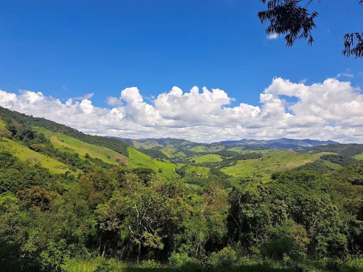 Trilha para o Pico do Pão de Angu