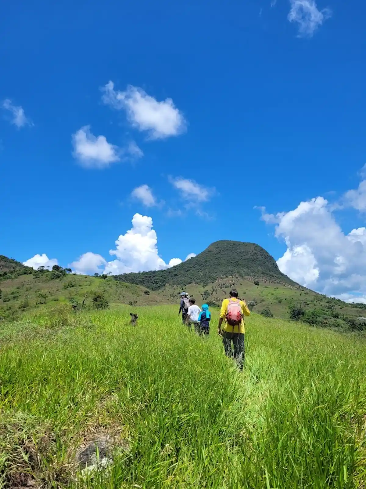 Trilha para o Pico do Pão de Angu