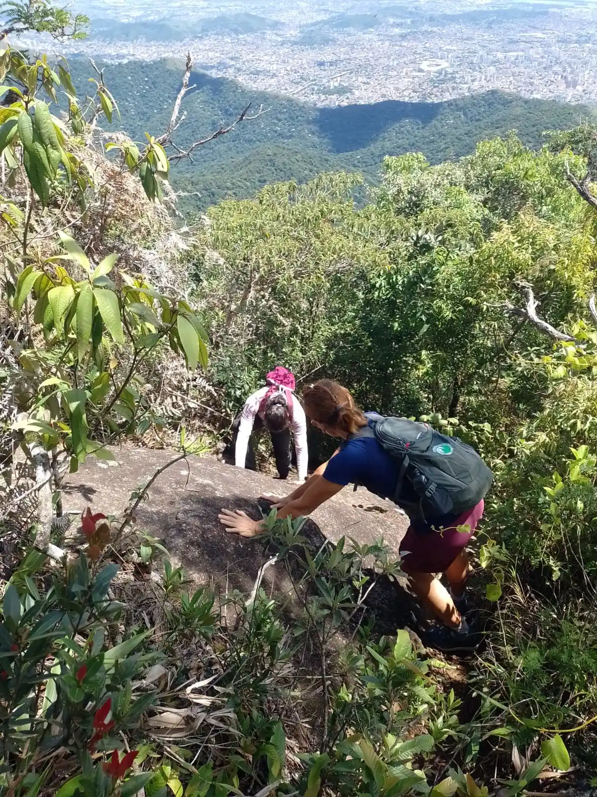 Trilha Bico do Papagaio via Serrilha
