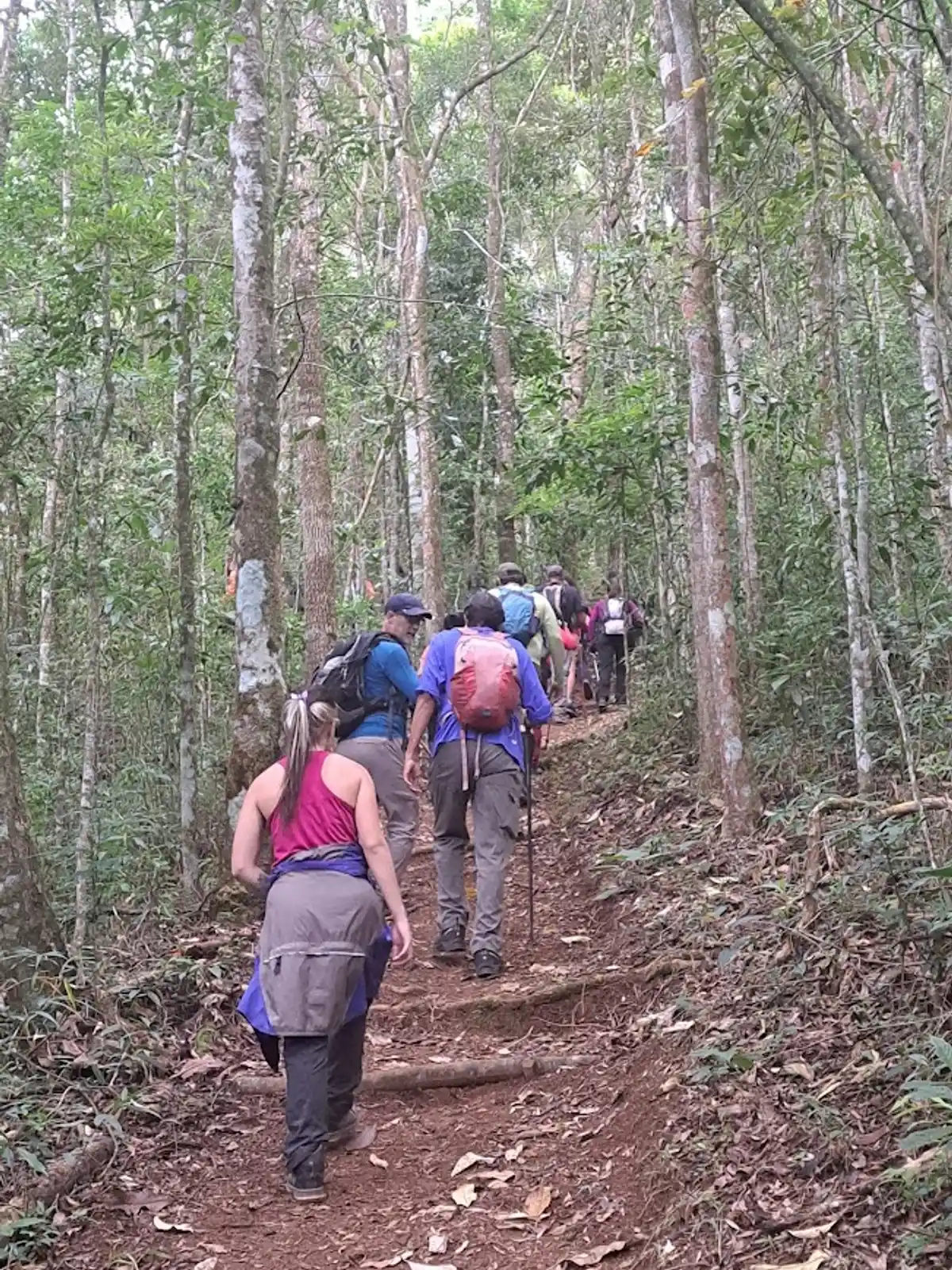 Trilha Pico do Boné