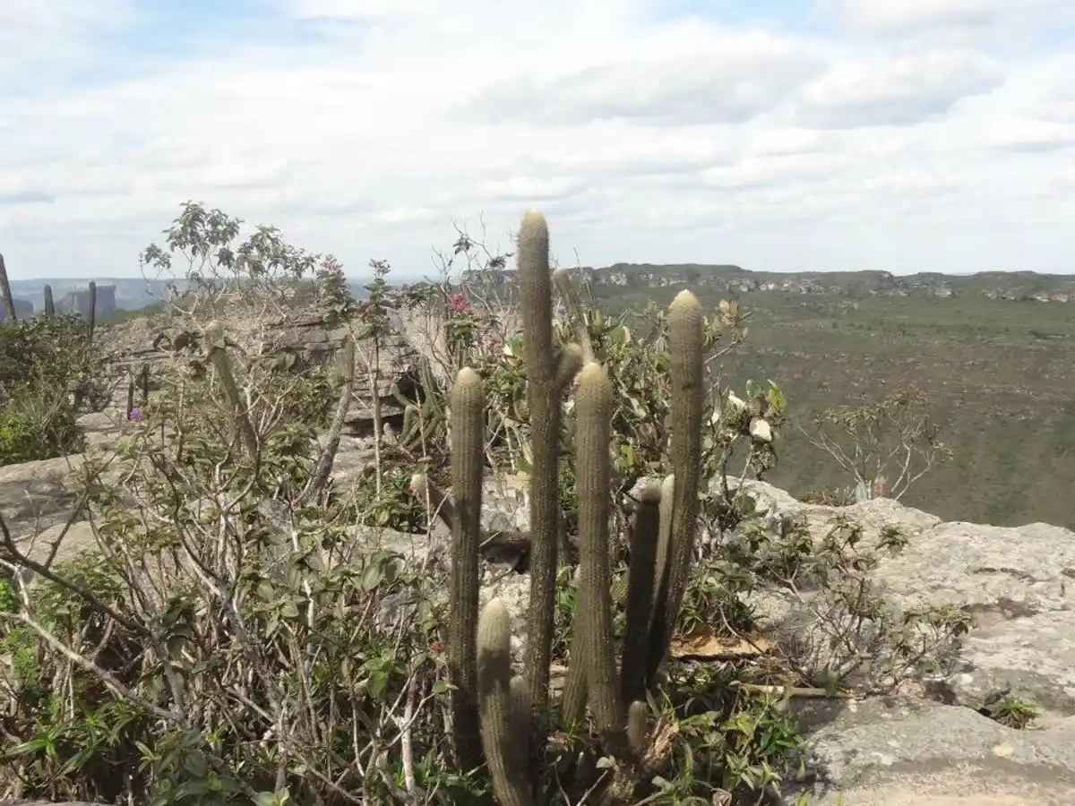 Travessia da Cachoeira da Fumaça por Baixo