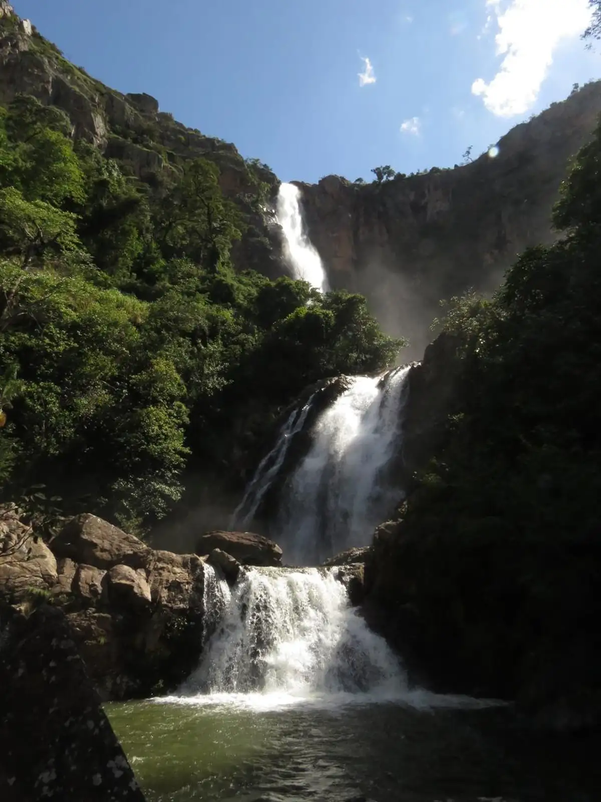 Trilha Cachoeira do Cerradão