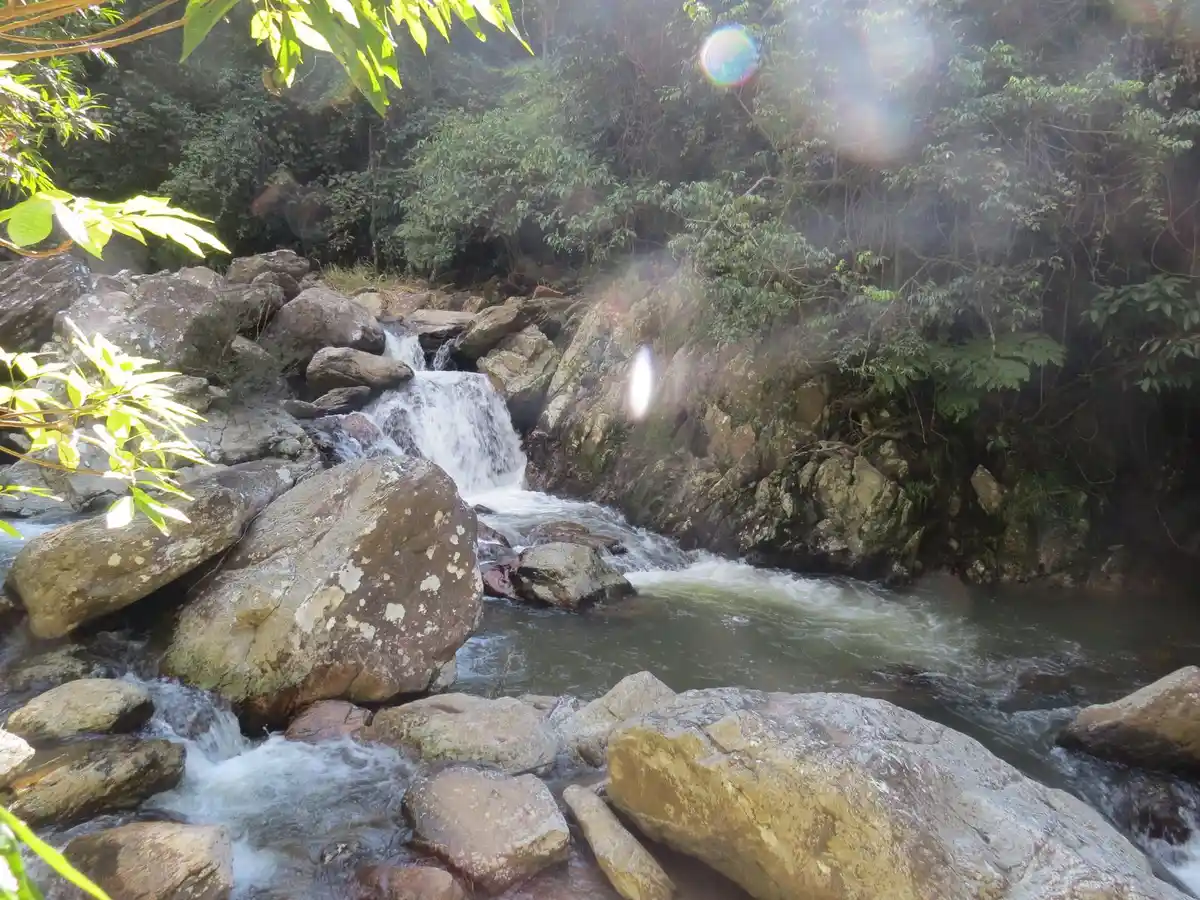 Trilha Cachoeira do Cerradão