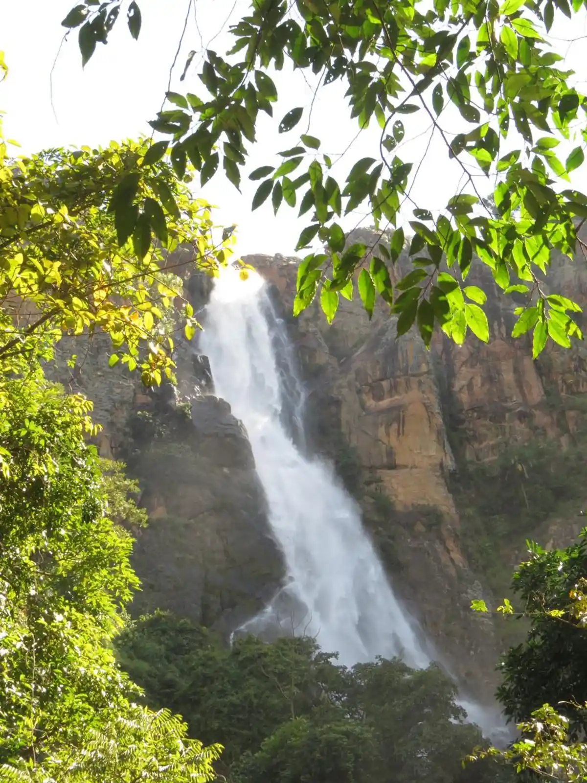 Trilha Cachoeira do Cerradão