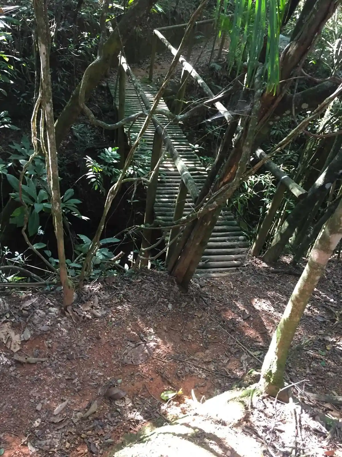 Trilha Cachoeira do Cerradão