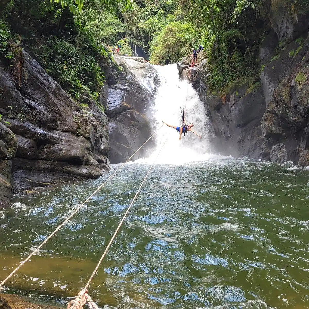 Trilha da Cachoeira do Tenebroso