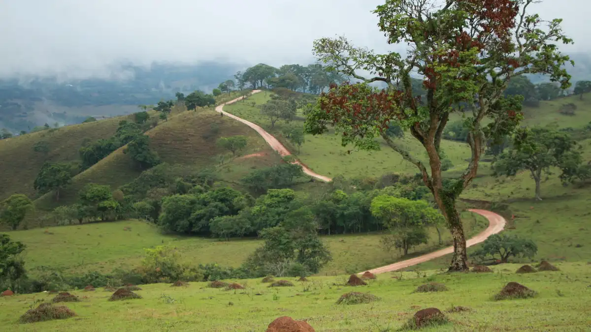 Caminho da Fé