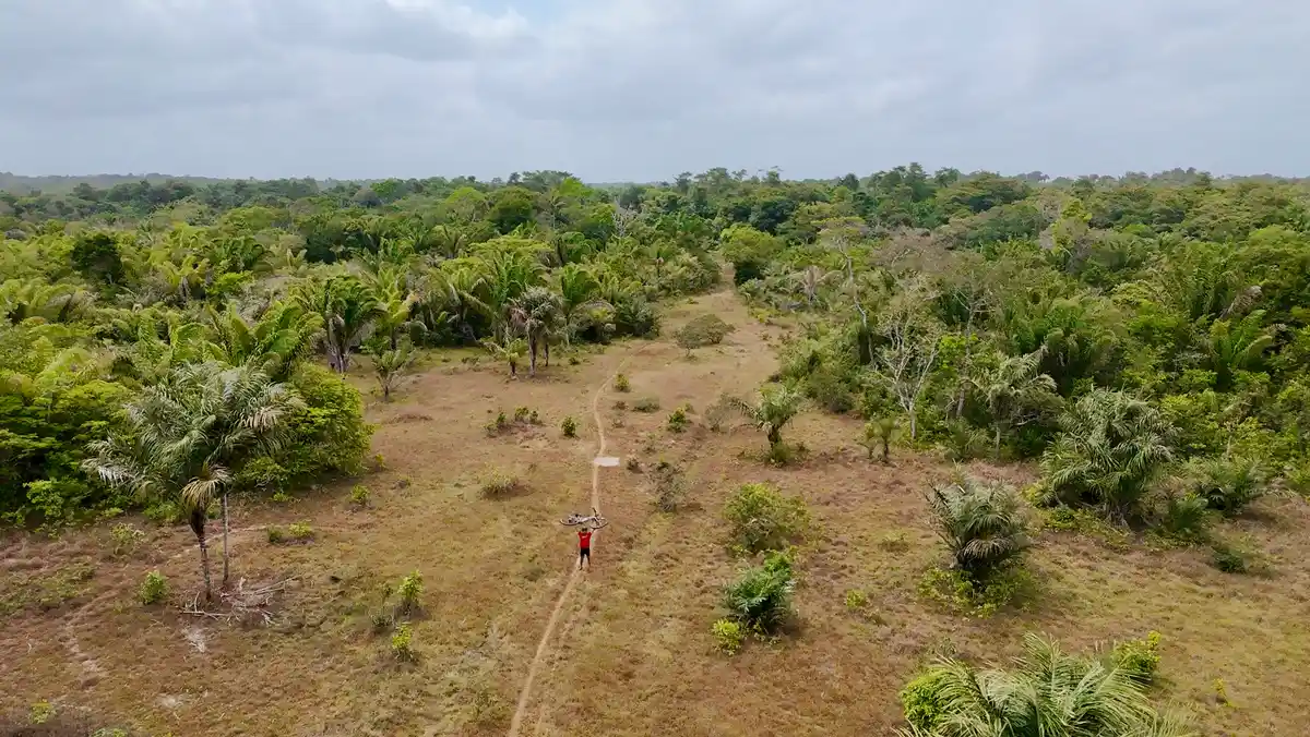 Amazônia Maranhense (Trecho 8 da Trilha Amazônia Atlântica)