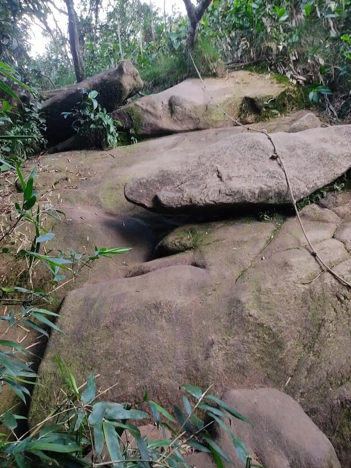 Trilha Pedra do Elefante