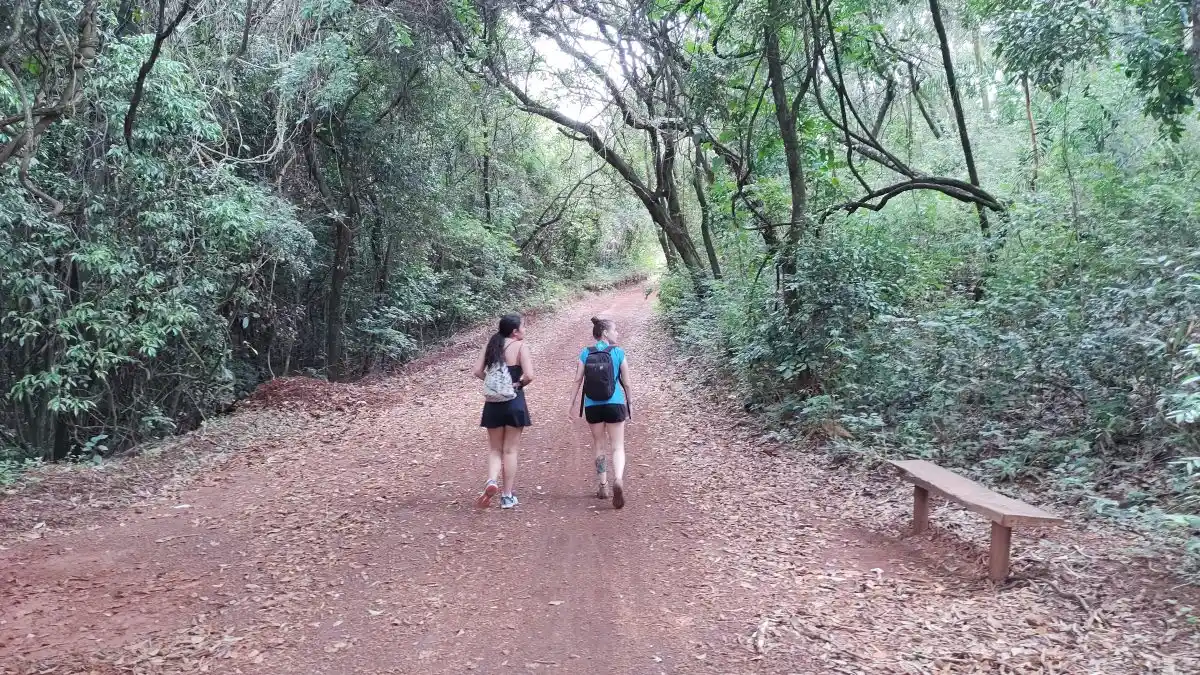 Trilha da Cachoeira das Pitangueiras