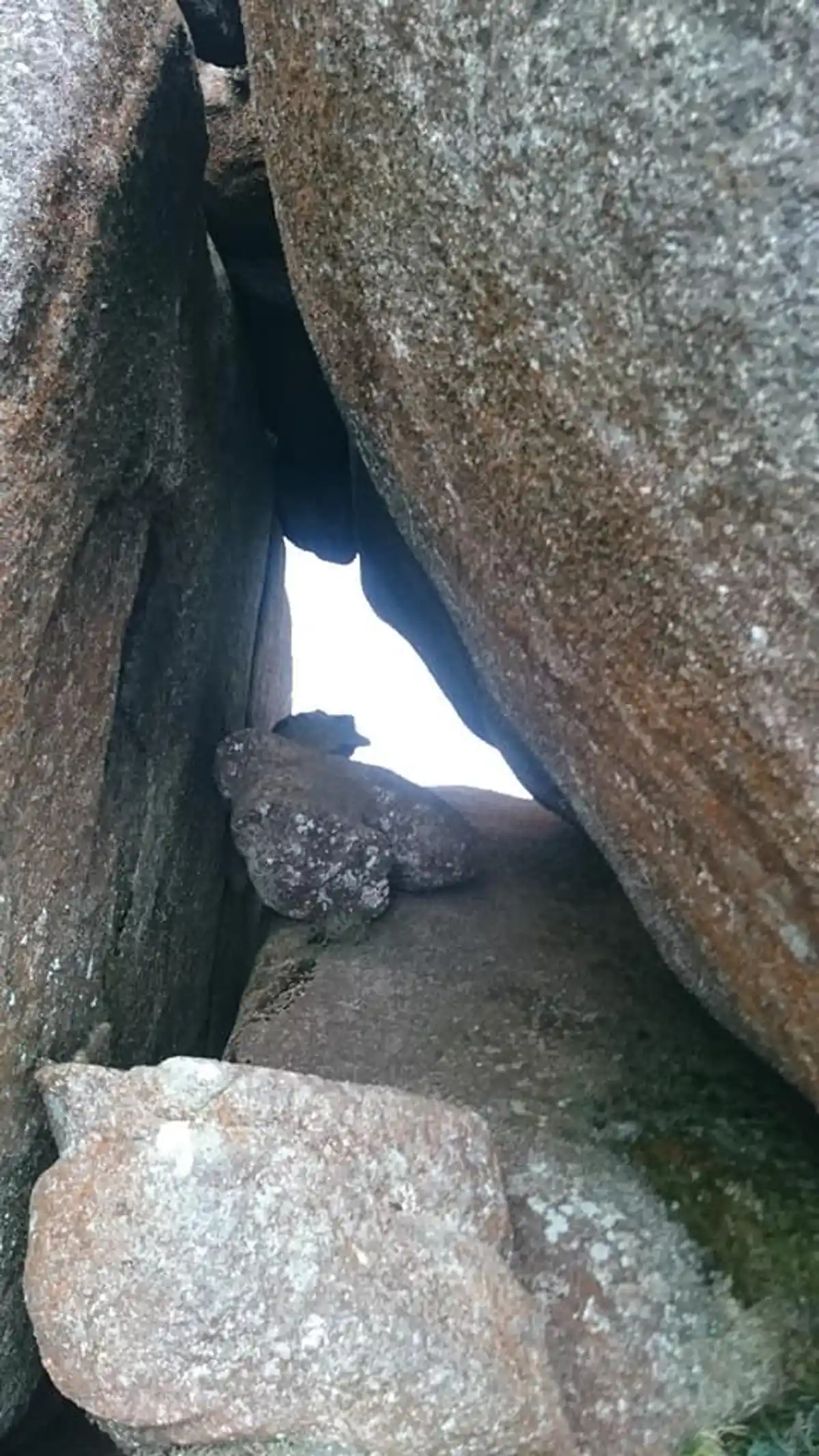 Pico do Itaguaré