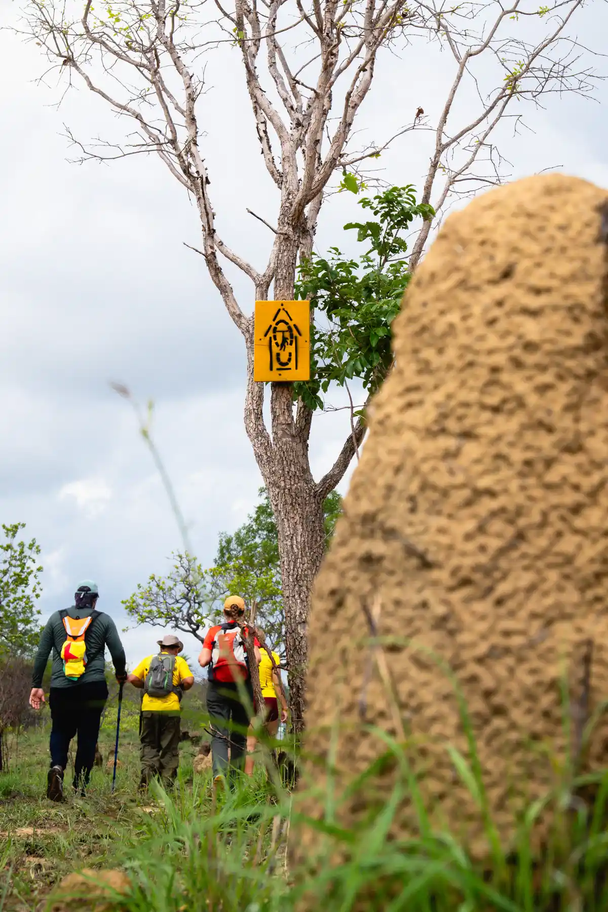 Caminhos da Ibiapaba