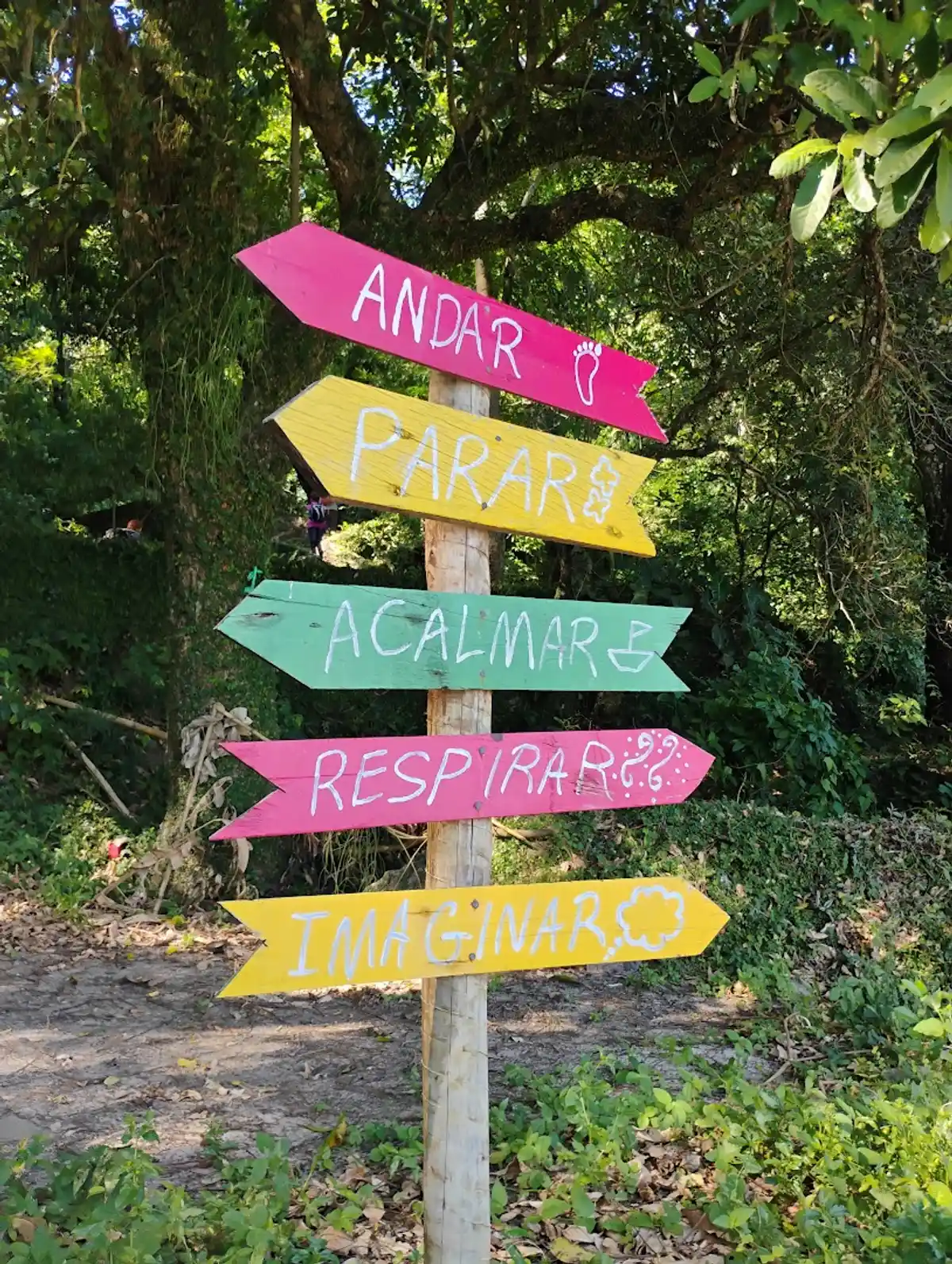 Volta da Ilha de Itacuruçá