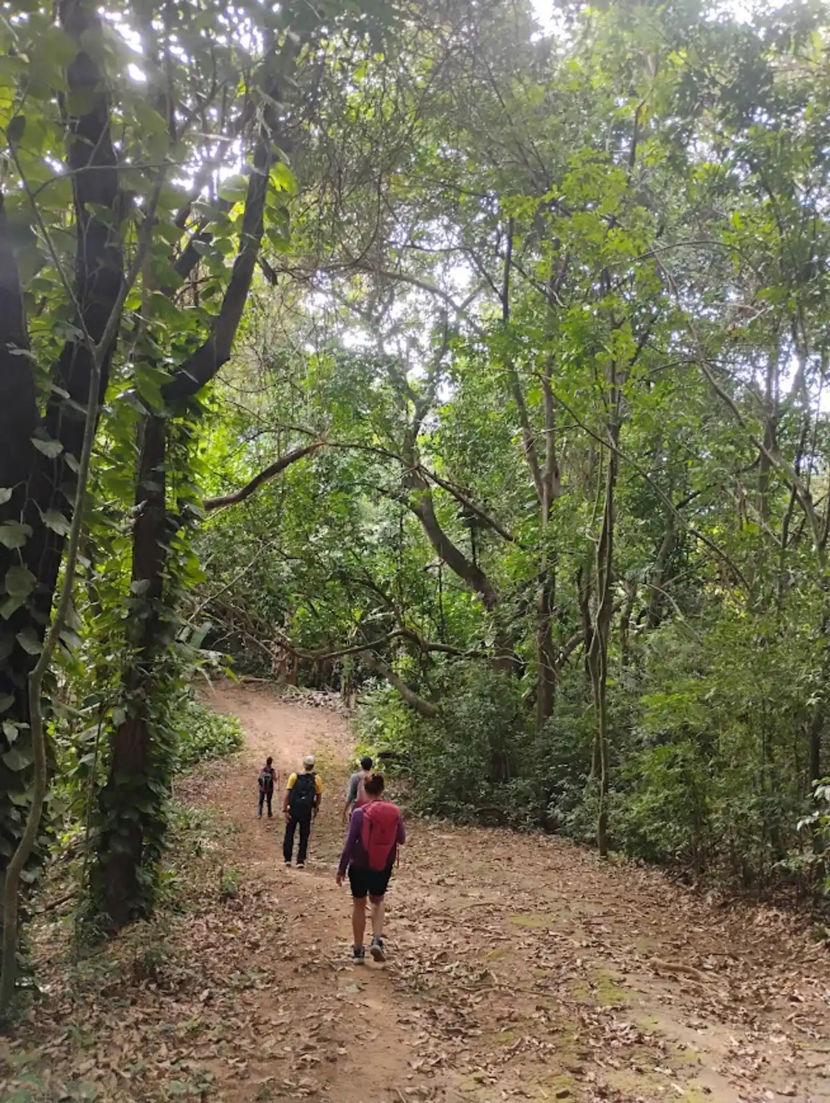 Volta da Ilha de Itacuruçá