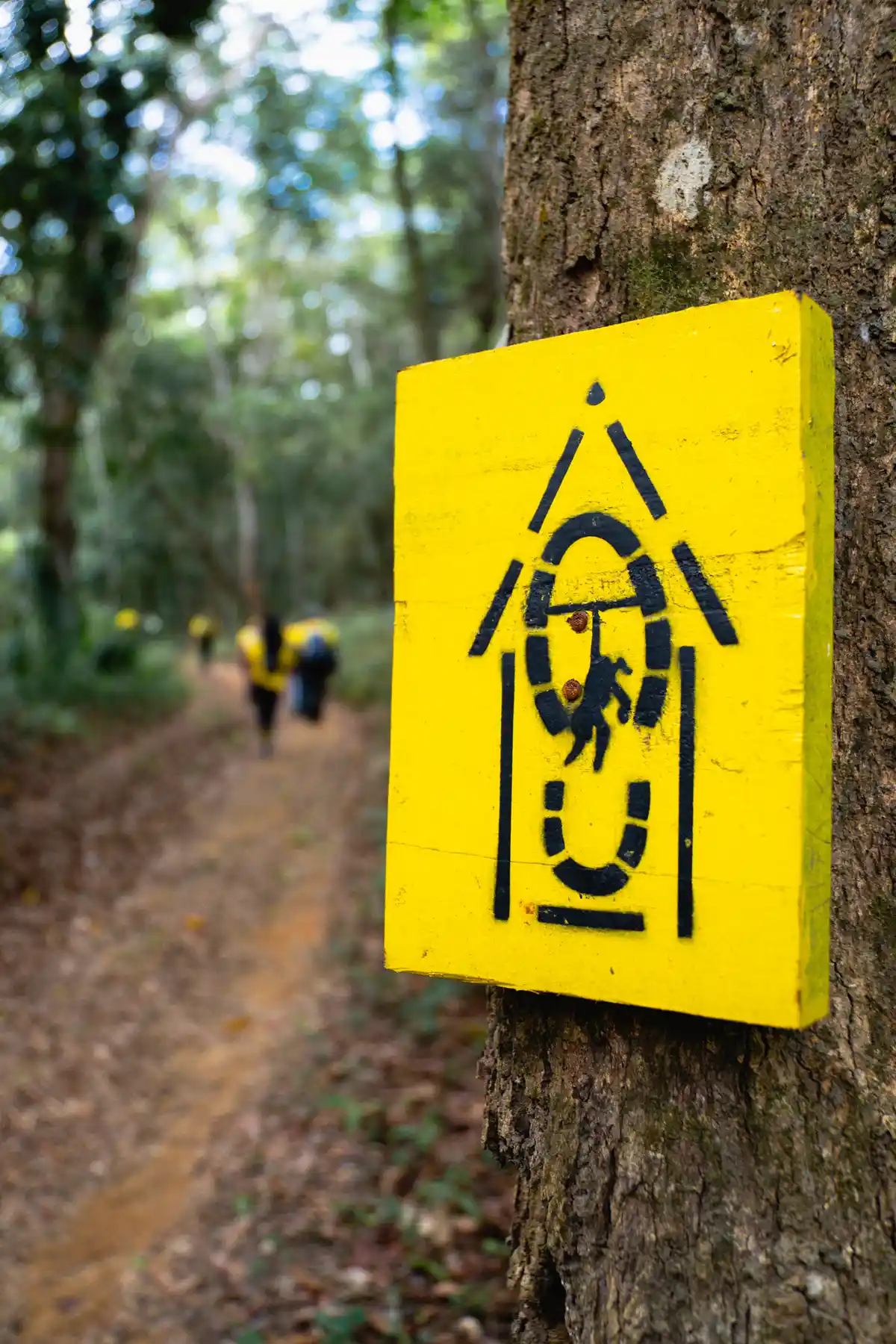 Caminhos da Ibiapaba