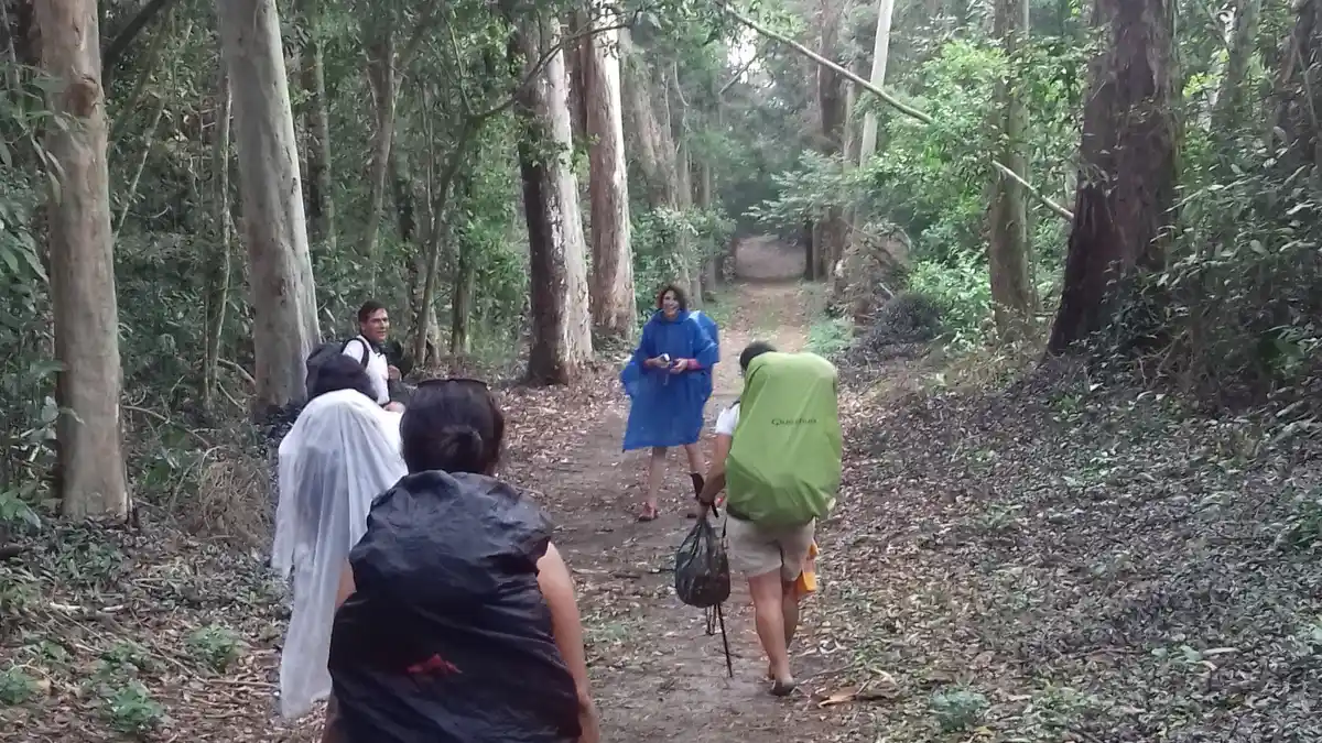 Trilha Abraão X Lopes Mendes + Palmas e Pouso