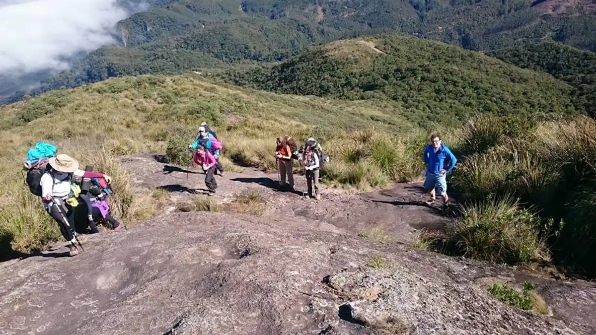Pico dos Marins