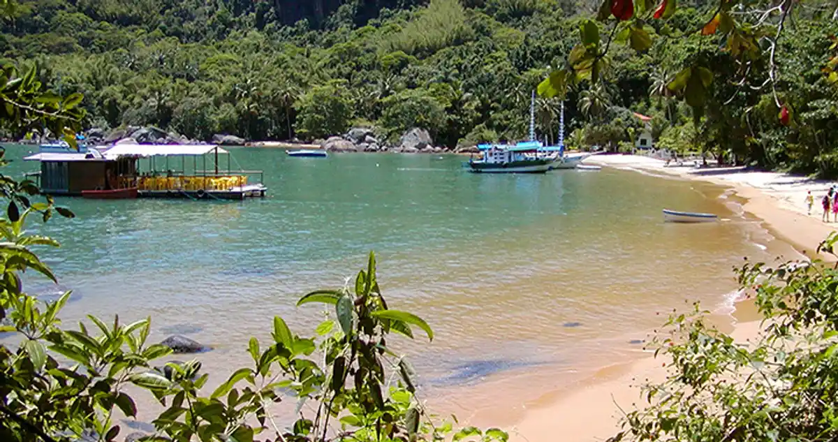 Trilha Abraão X Lopes Mendes + Palmas e Pouso