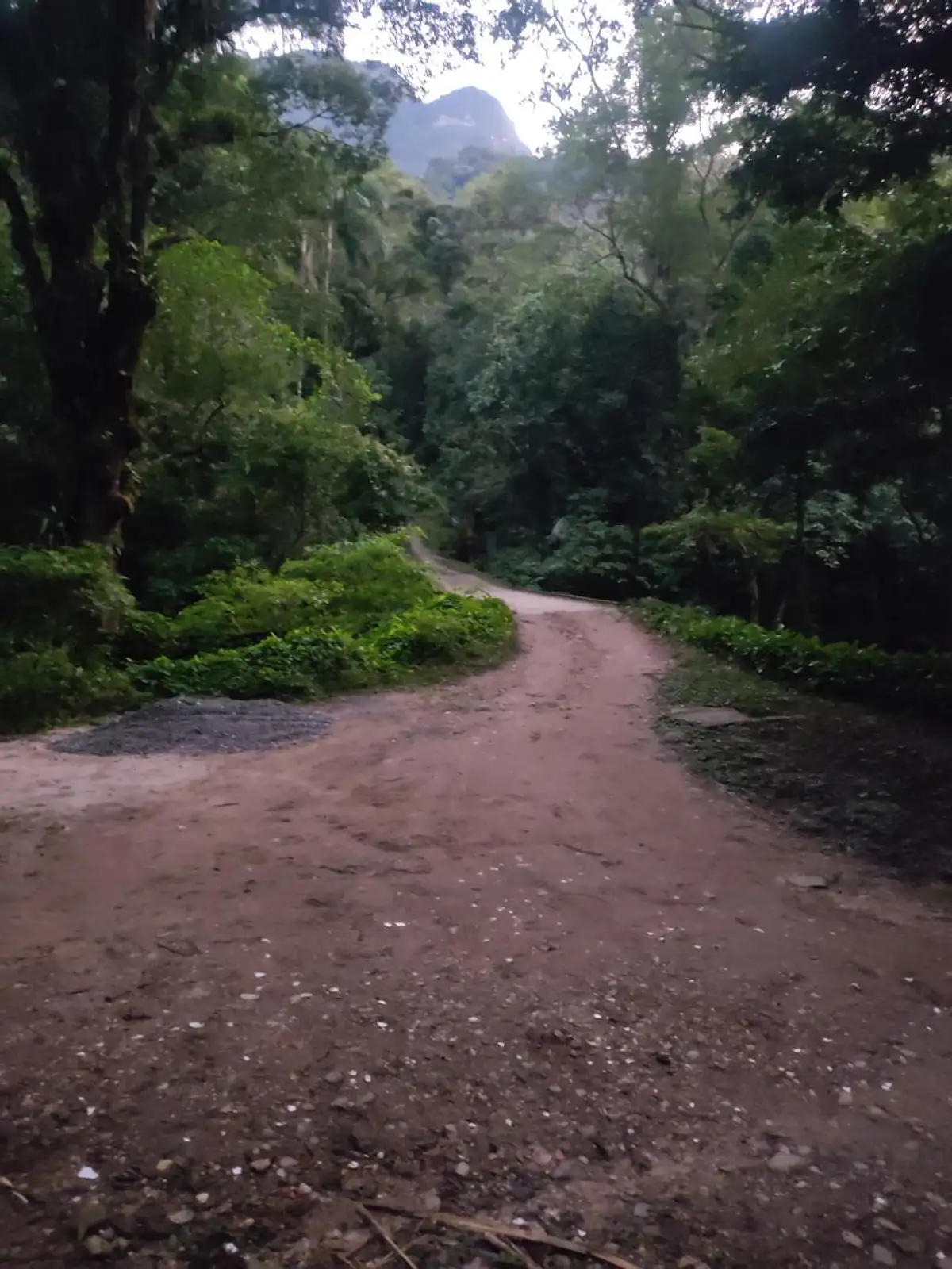 Trilha Castália x Pedra da Mariquita (Santo Amaro)