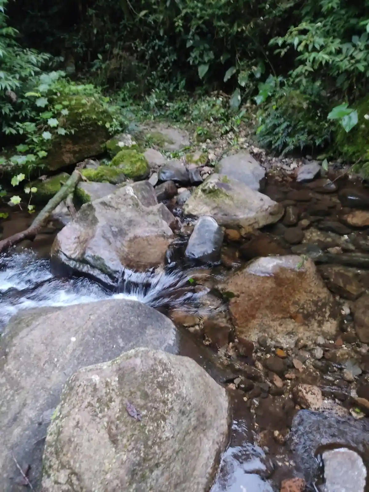 Trilha Castália x Pedra da Mariquita (Santo Amaro)