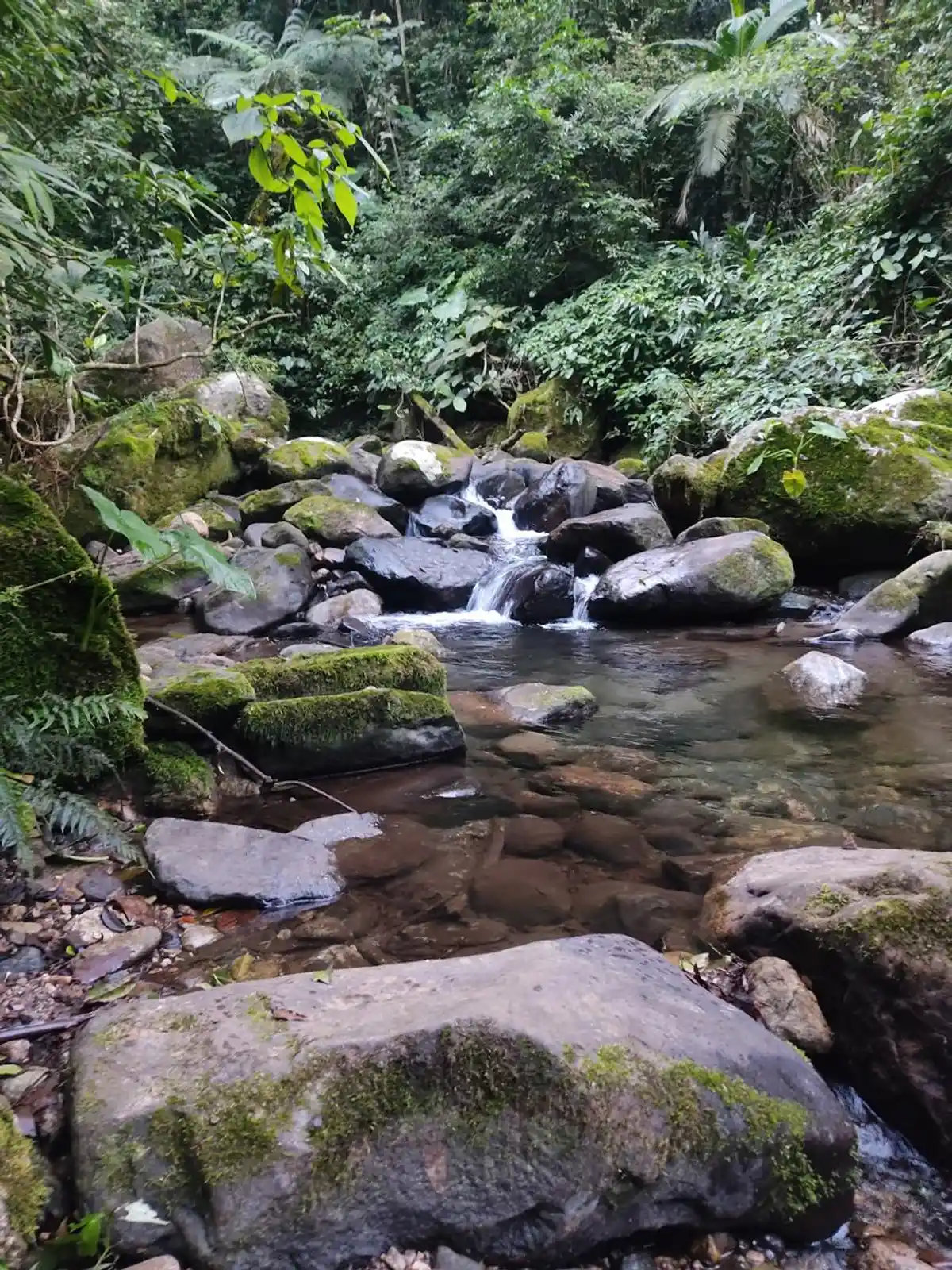 Trilha Castália x Pedra da Mariquita (Santo Amaro)